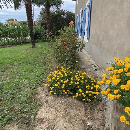 De Castellasses * Castelmayran