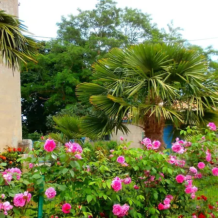 De Castellasses * Castelmayran