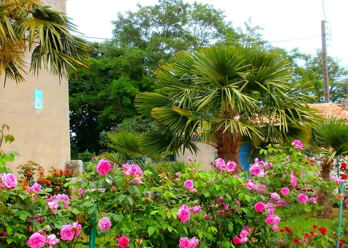 De Castellasses * Castelmayran